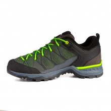 Salewa Hiking Shoes Mtn Trainer Lite GTX (Approach, Waterproof) Green Men